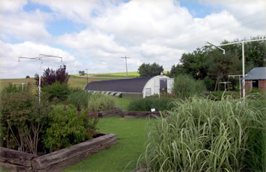 Lett's Ornamentals Grasses & Nursery